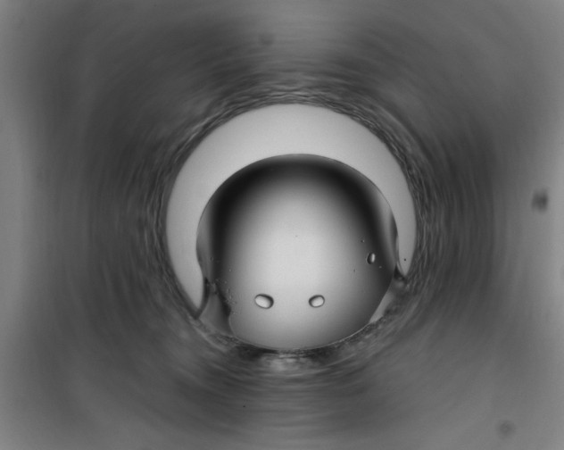 X0000099480372200805301624