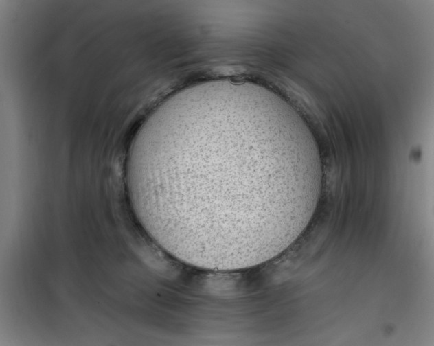 X0000099480373200805301624