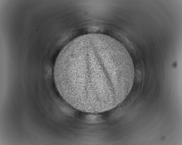 X0000099480375200805301624