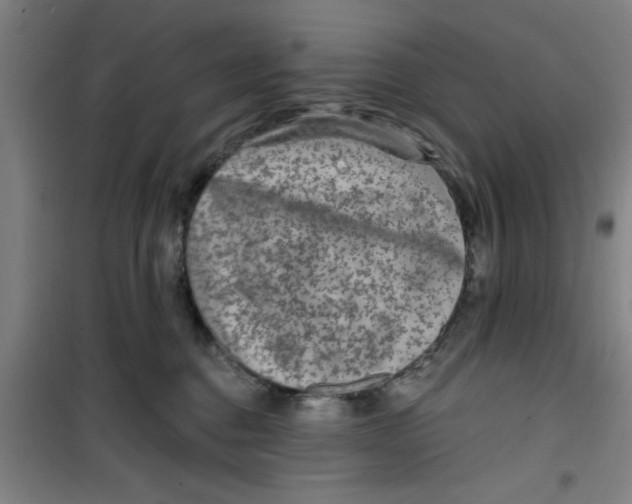 X0000099480376200805301624