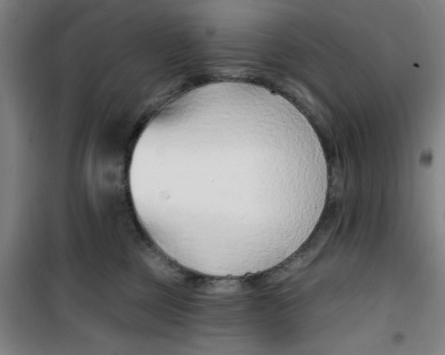 X0000099480377200805301624