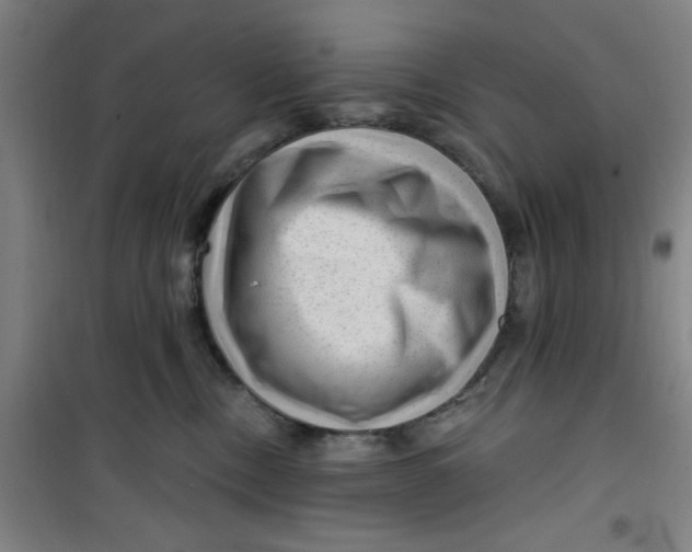 X0000099480378200805301624