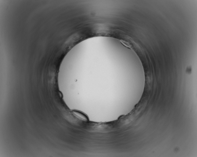 X0000099480379200805301624