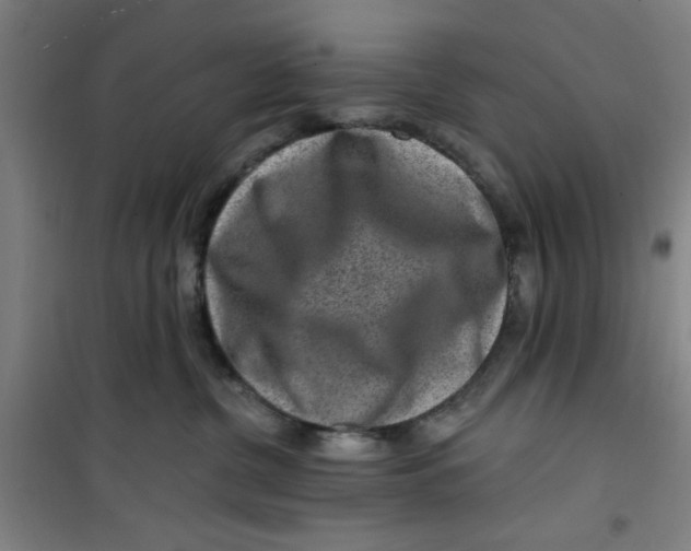 X0000099480380200805301624
