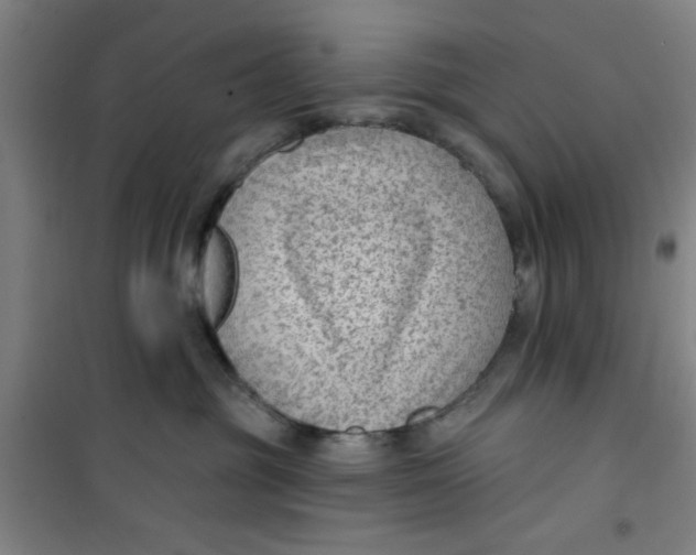 X0000099480381200805301624