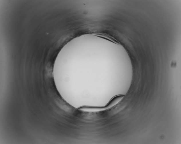 X0000099480384200805301624