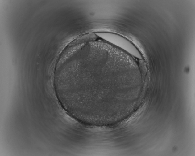 X0000099480385200805301623