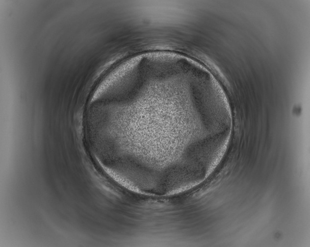 X0000099480386200805301623