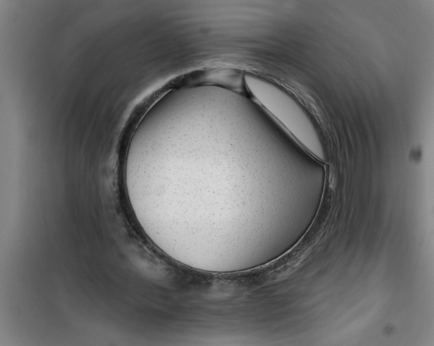 X0000099480388200805301623