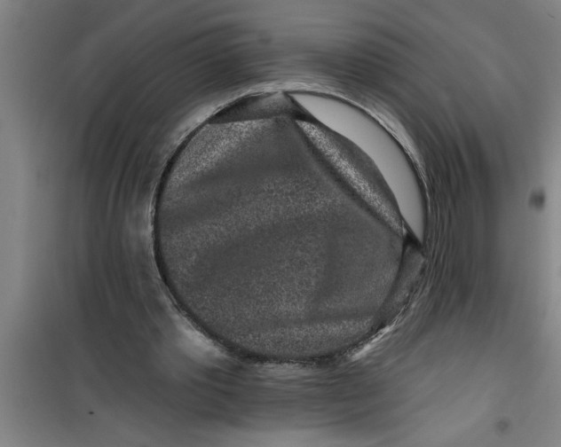 X0000099480389200805301623