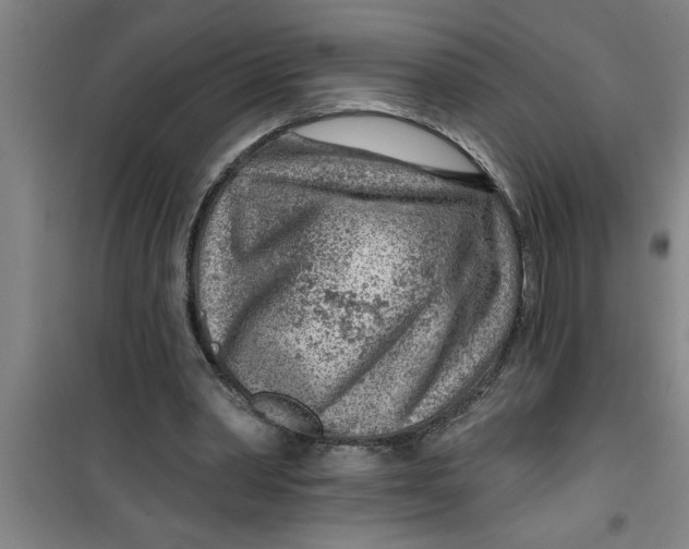 X0000099480390200805301623