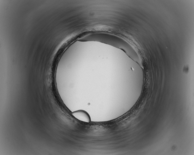 X0000099480392200805301623