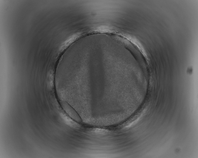 X0000099480393200805301623