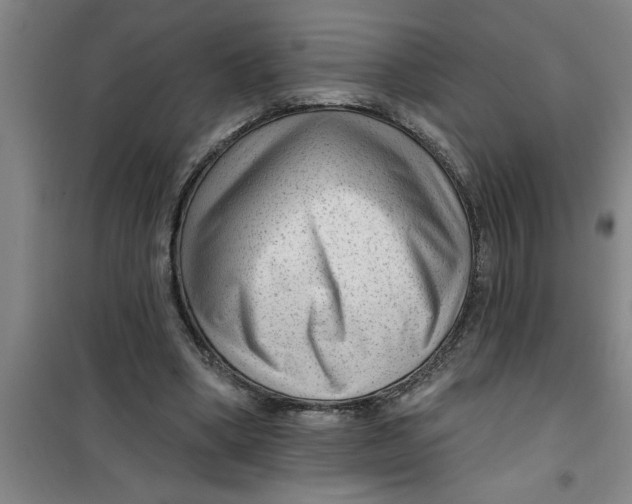 X0000099480394200805301623