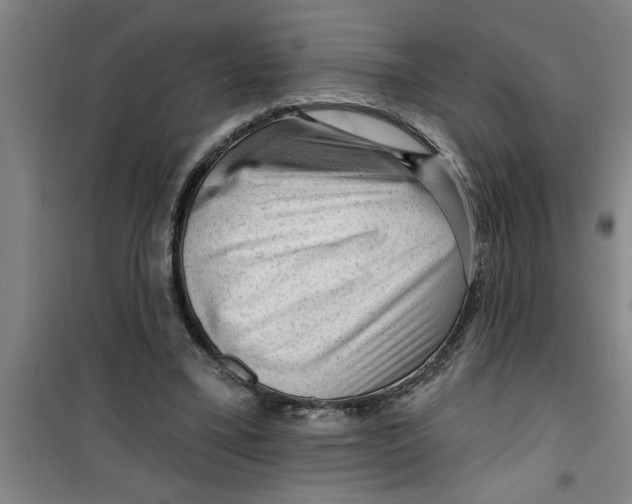 X0000099480395200805301623