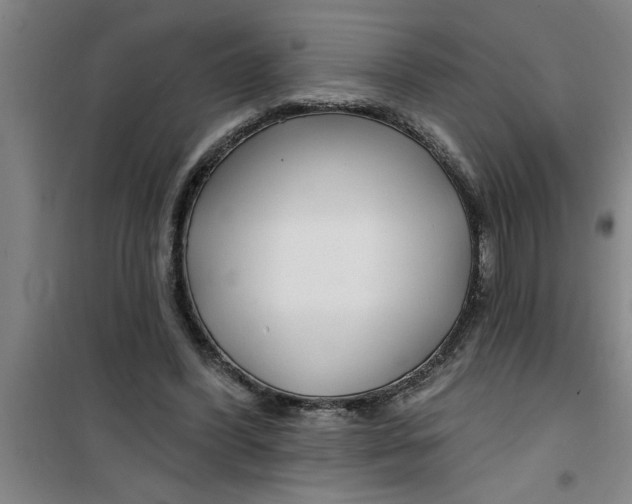 X0000099480396200805301623