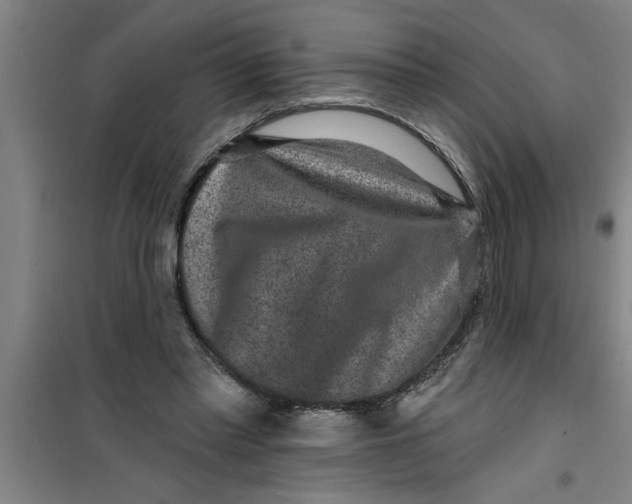 X0000099480397200805301623