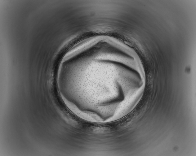 X0000099480400200805301623