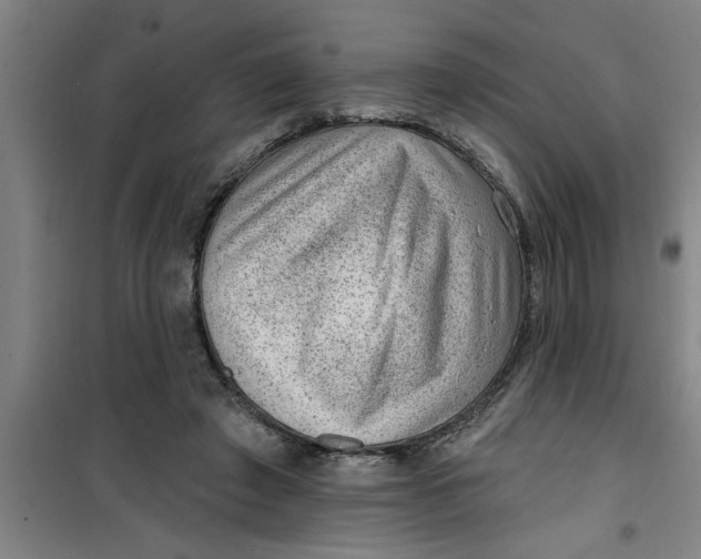 X0000099480401200805301623