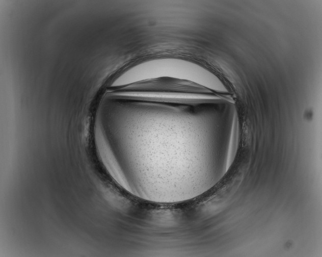 X0000099480404200805301623