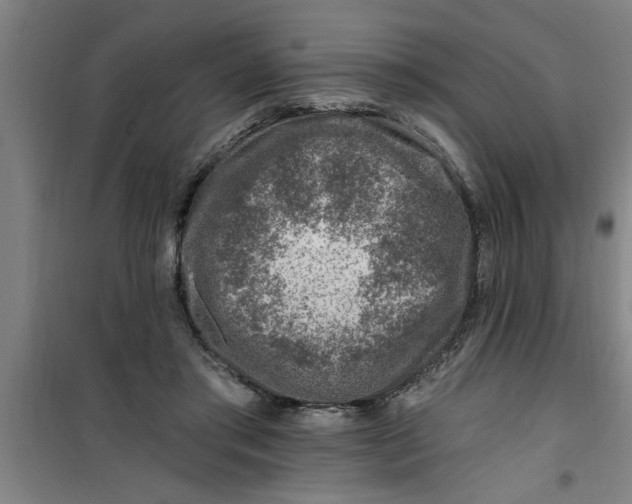X0000099480405200805301623