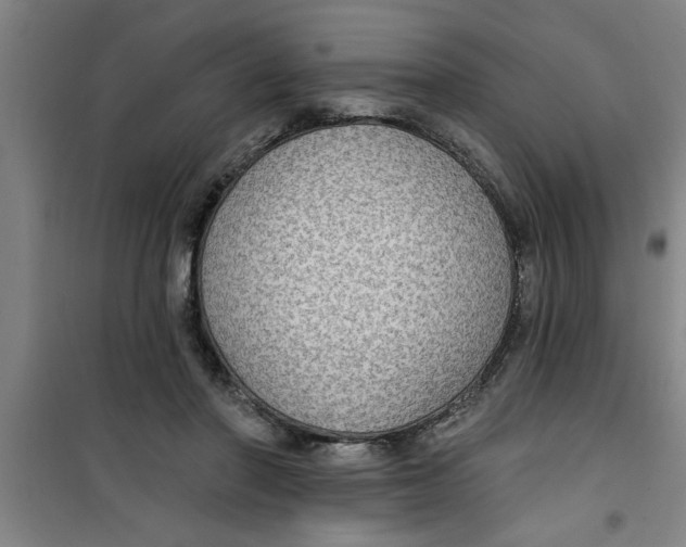 X0000099480406200805301623