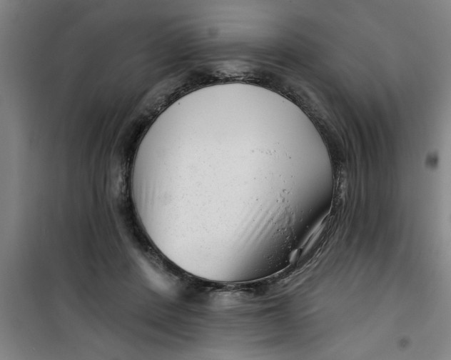 X0000099480408200805301623