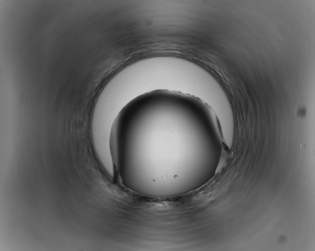 X0000099480411200805301623