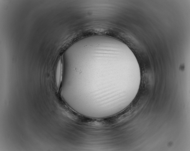 X0000099480412200805301623