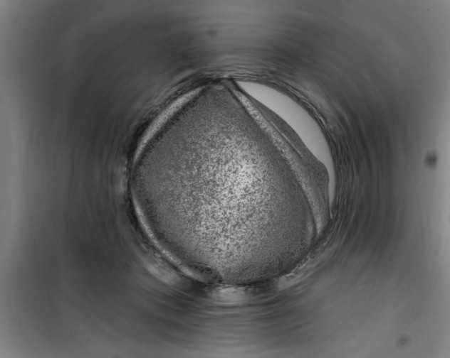 X0000099480413200805301623
