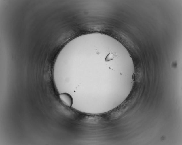 X0000099480414200805301623