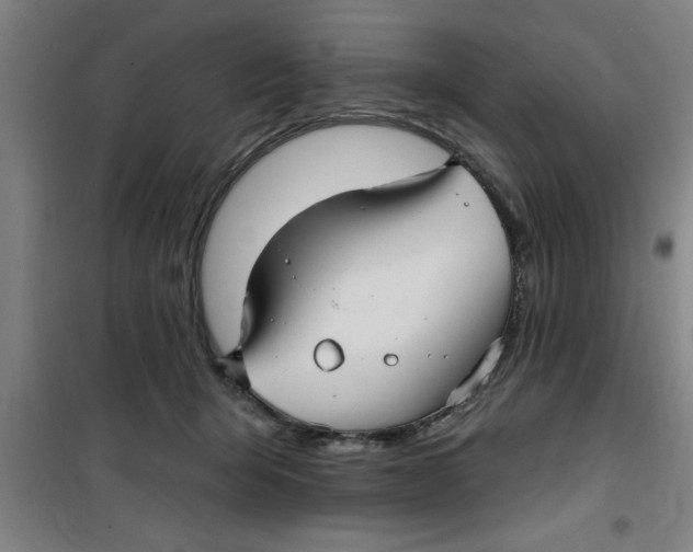 X0000099480415200805301623