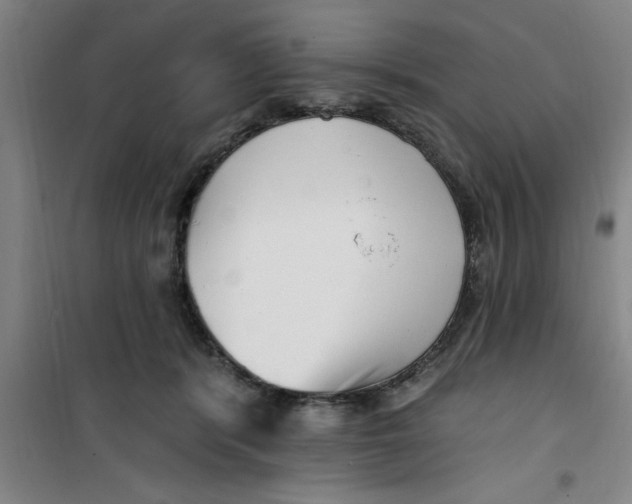 X0000099480416200805301623
