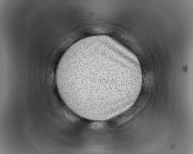 X0000099480418200805301623