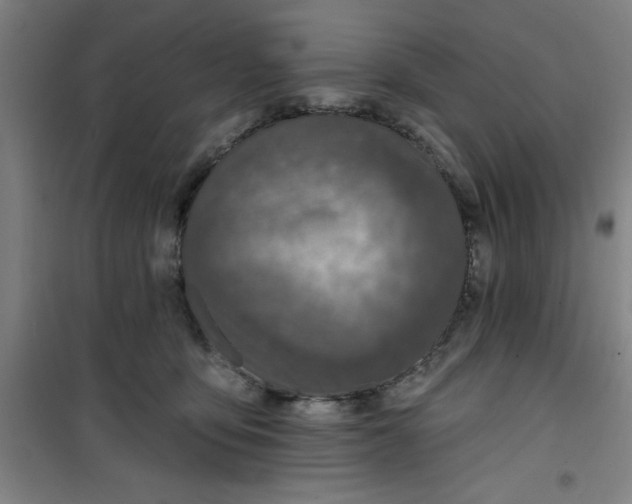 X0000099480419200805301623