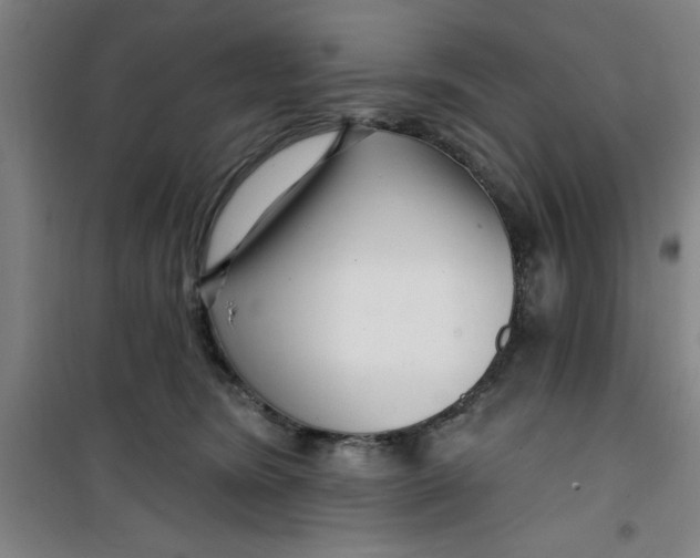 X0000099480420200805301623