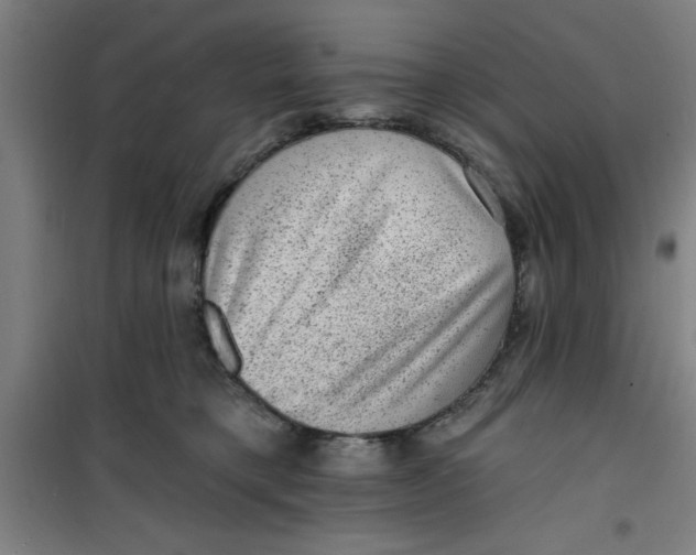 X0000099480421200805301623