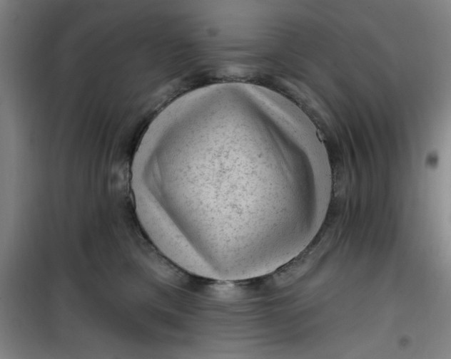 X0000099480425200805301623