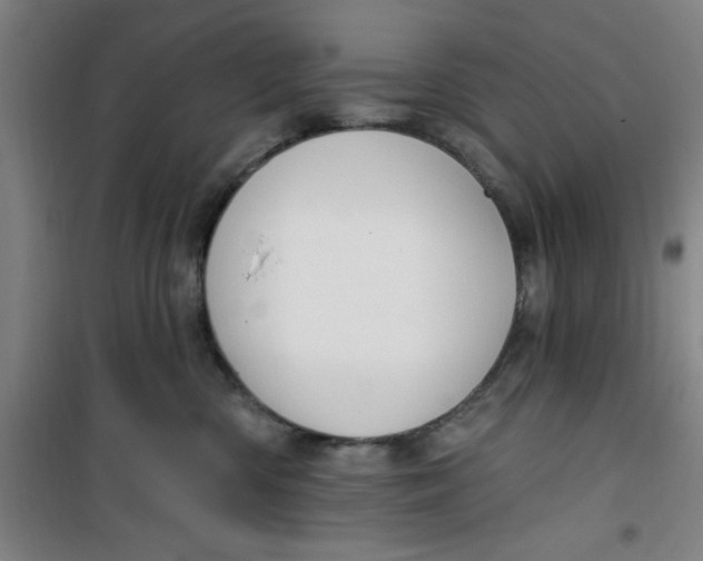 X0000099480426200805301623