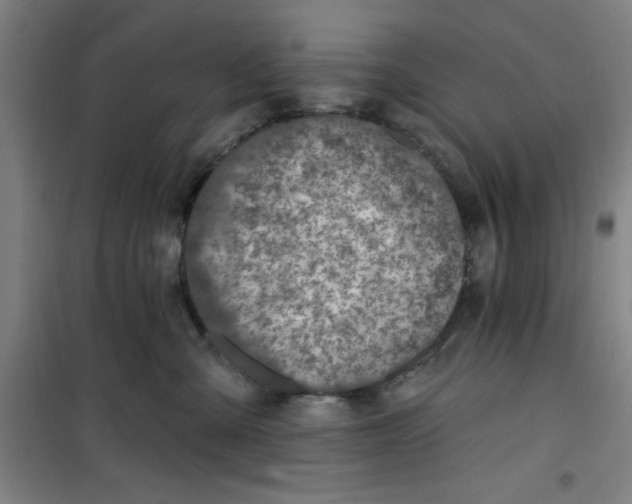 X0000099480427200805301623
