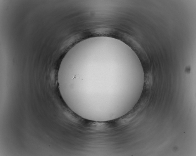 X0000099480428200805301623