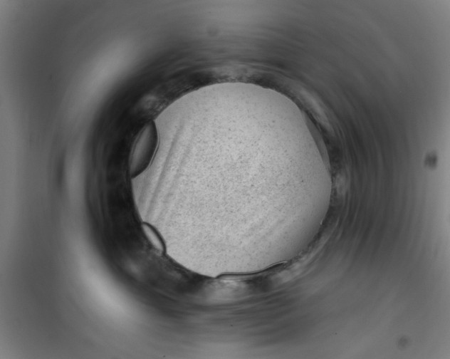 X0000099480429200805301623