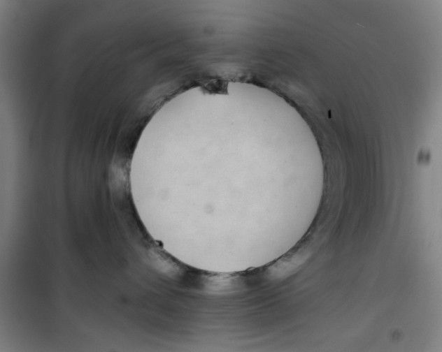 X0000099480432200805301623