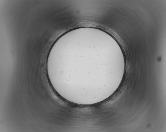 X0000099480433200805301622