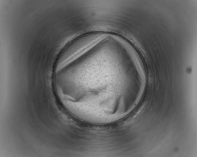 X0000099480434200805301622