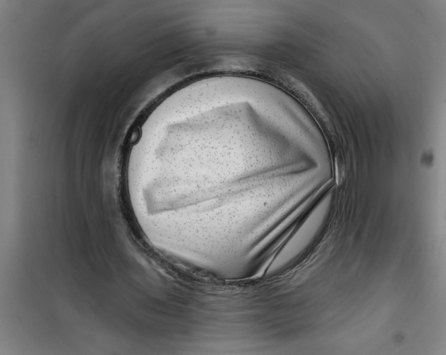 X0000099480435200805301622