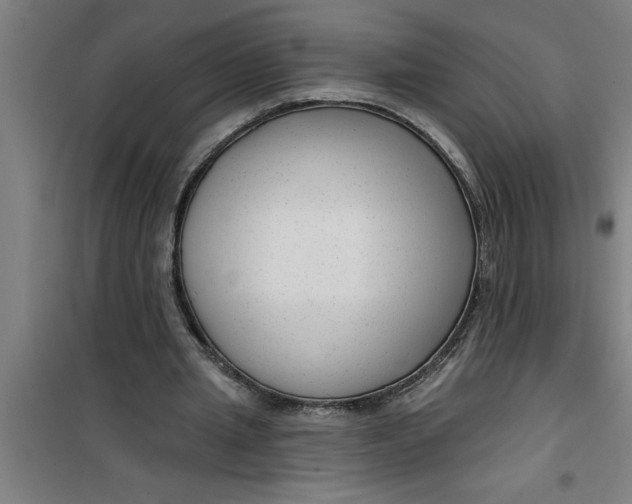 X0000099480437200805301622