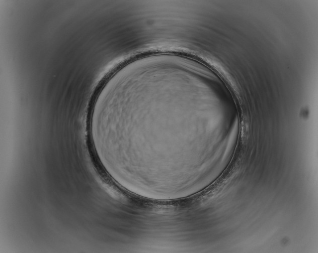 X0000099480438200805301622