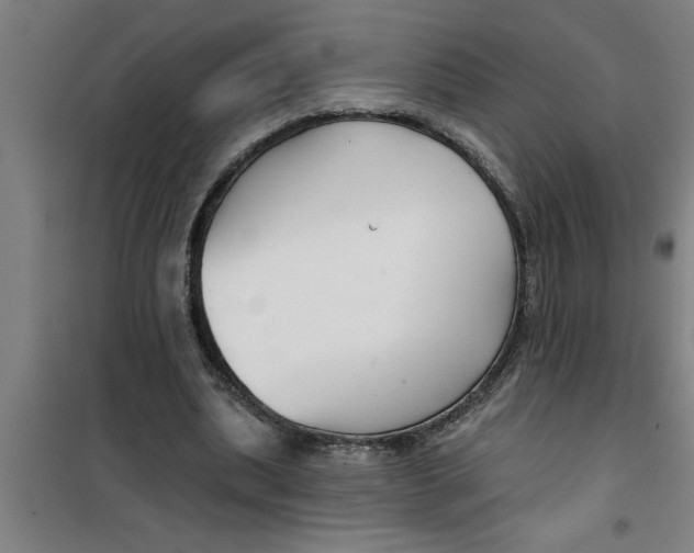 X0000099480439200805301622
