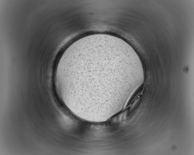 X0000099480440200805301622